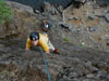 Clint at Cushman Cliffs