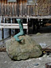Salmon Beach Mermaid