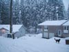 the neighbors houses